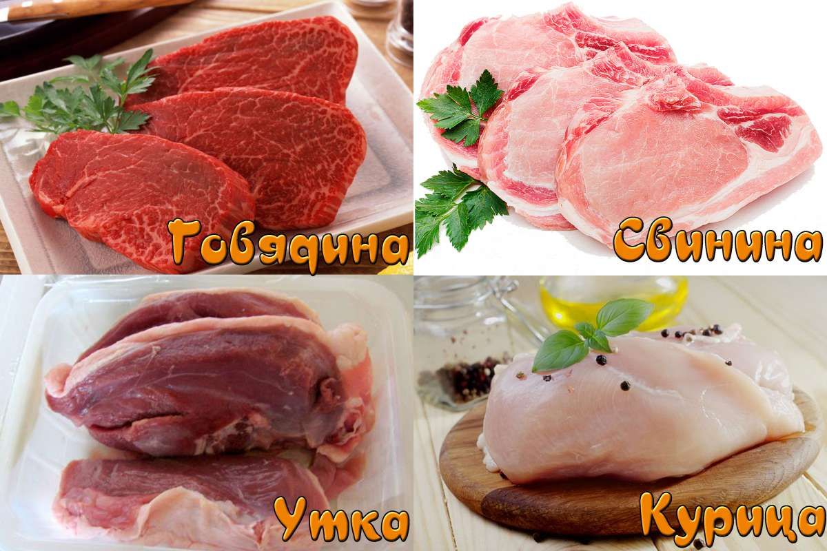 Как отличить свинину. Свинина и говядина отличие. Различие говядины и свинины мяса. Мясо свинины и говядины отличие. Свинина и говядина разница.