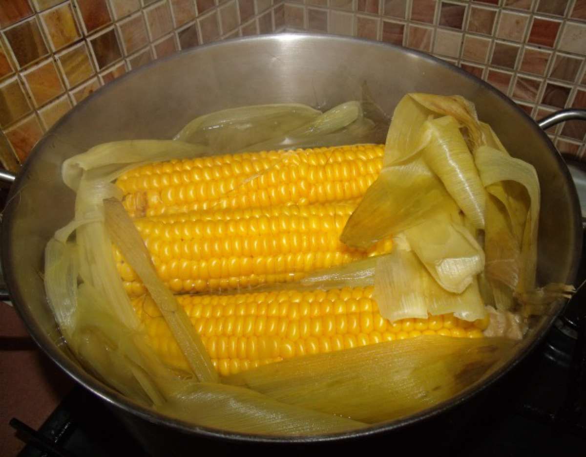 Варить початках в кастрюле. Кукуруза в початках вареная. Кукуруза в початках варёная кукуруза. Кукуруза в кастрюле. Вареная кукуруза в кастрюле.
