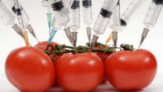Что такое ГМО